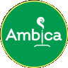 Ambica