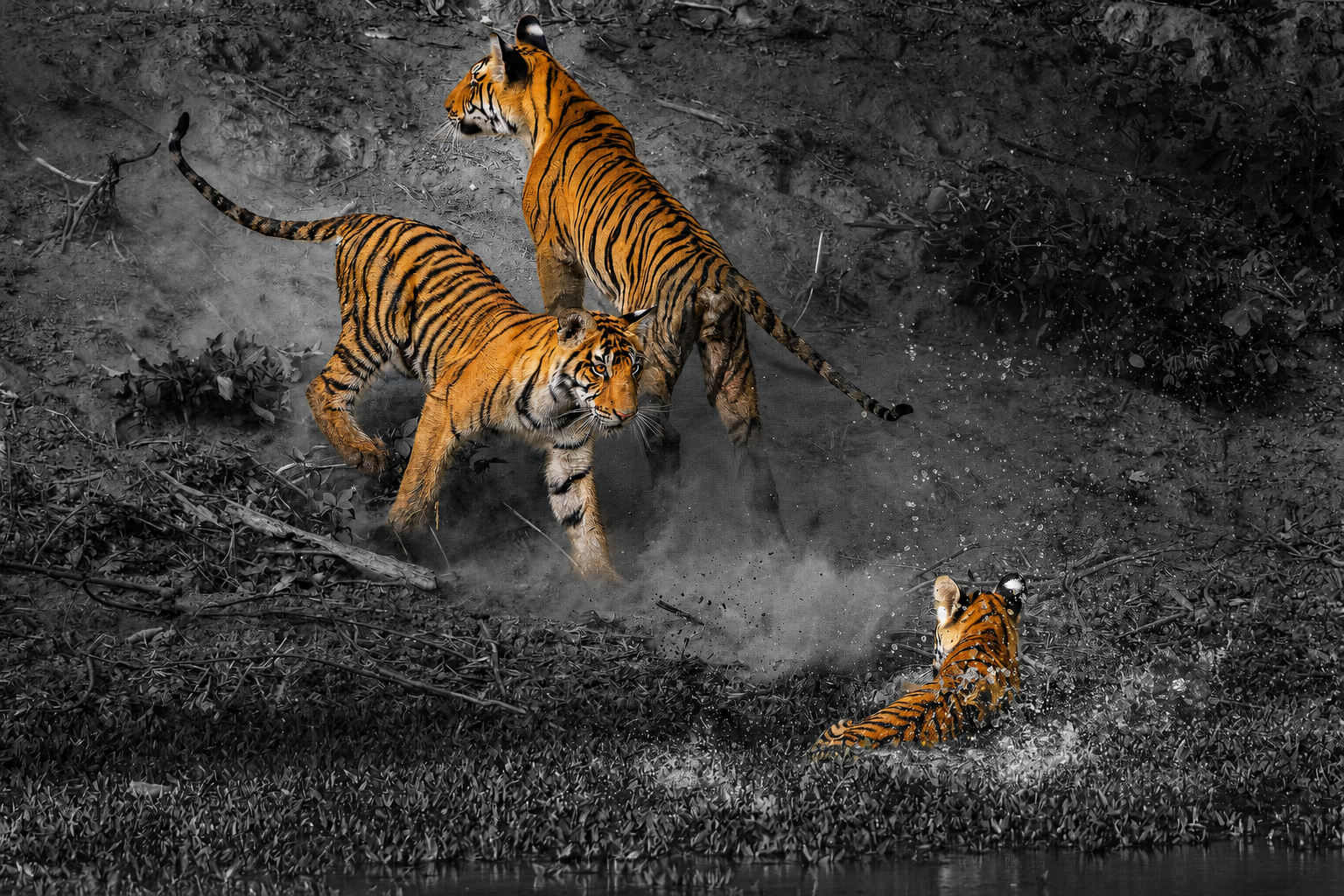Safari Lodges India
